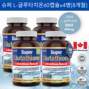 글루타치온 500mg 60캡슐 고함량 슈퍼 L- Glutathione 환원형 허바 캐나다, 4병