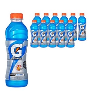 게토레이 블루 볼트, 600ml, 24개