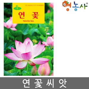 연꽃씨앗 10립, 연꽃, 1개