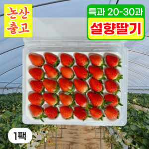 꿀당도 설향딸기 13bix이상 사천농장직송 특품, 1박스, 750g (20-30특과)