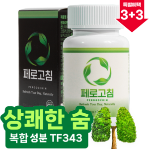 페로고침 TF343 복합성분 퀘르세틴, 6개, 30정