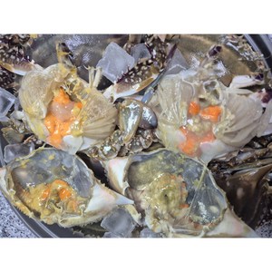 [땅아래수산] 서해안 제철 봄 알배기 활 (생물) 암꽃게, 1박스, 1kg (3~5미)