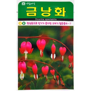 구하기힘든 금낭화 씨앗(20립)(A0717), 1개