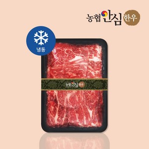[농협안심한우] 1+등급 한우 불고기 600g, 1개