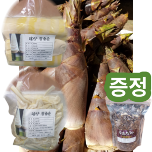 담양참죽순 100% 국산 유기농 삶은 죽순 1kg 한 봉지 (3만 원 이상 구매 시 죽순잎차 증정), 1개