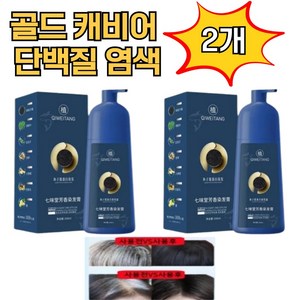 골드 캐비어 단백질 염색약 500ml 염색샴푸 새치커버 헤어손상 탈모 없는 염색, 2개, 검은블랙