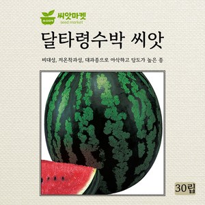 다농 달타령수박 대과종 씨앗 30립, 1개