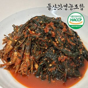 [돌산갓영농조합] 산지직송 전라도 여수돌산 고들빼기 3kg, 1개