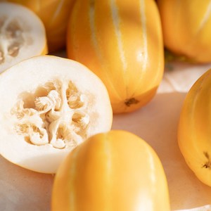 산지직송 꿀 성주 햇참외 소과 1.5kg, 1박스, 가정용 참외 소과 1.5kg