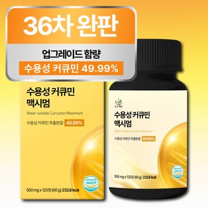 [4개월분] 강황 수용성 커큐민 식약청 HACCP 인증 (대용량), 120정, 1개