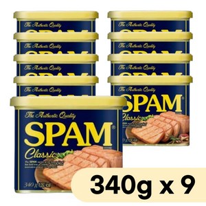 스팸 클래식, 340g, 9개