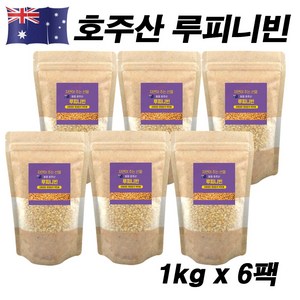 에코홀릭 루피니빈 호주산 루피니빈콩 루핀콩, 6개, 1kg