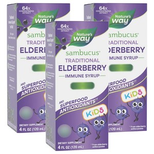 네이쳐스웨이 어린이용 삼부커스 엘더베리 시럽, 120ml, 3개
