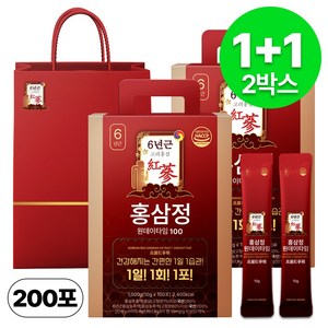 1+1 홍삼정 6년근 하루한포 100회분 대용량+쇼핑백