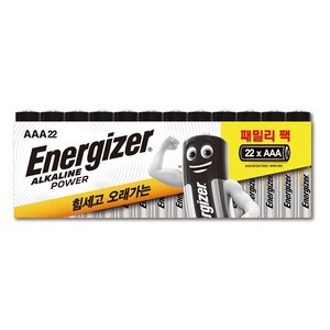 에너자이저 알카라인 파워 AAA 건전지, 22개입, 1개