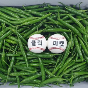 클릭마켓 국내산 청양고추, c청양고추 5kg, 1개