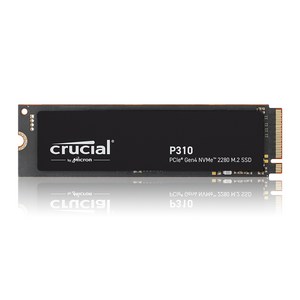 마이크론 Cucial P310 M.2 NVMe 아스크텍, 500GB