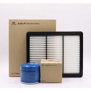 모닝/뉴모닝/모닝(10년형LPG) 오일필터[26300-02503] + 에어필터[28113-07100] 세트 NMN10-LPG, [26300-02503][28113-07100], 1개