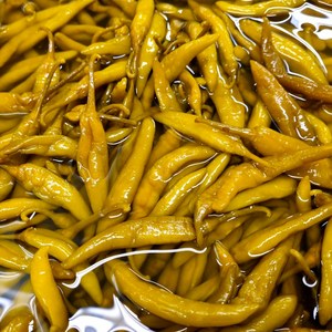 염장 고추지 1kg 정말 맛있는 절임고추 고추무침 동치미 고추장아찌, 1kg, 1kg