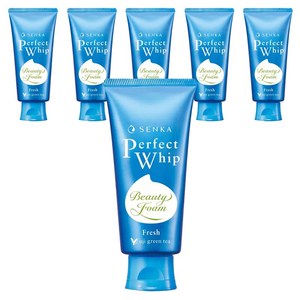 센카 퍼펙트 휩 프레시 그린티 클렌징 폼, 100g, 6개