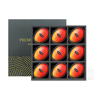 20brix 초고당도 망고 백화점납품 과일선물세트, 선물용, 1박스, 애플망고_9과