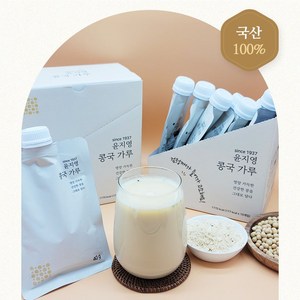 윤지영 국산 콩국물 콩국가루(40g 10개입), 1개, 400g