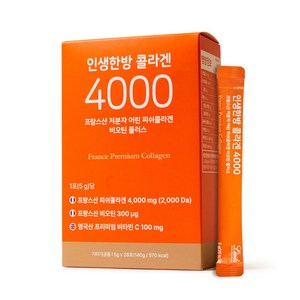 인생한방 콜라겐 4000 프랑스산 저분자 어린 피쉬콜라겐 비오틴 플러스, 140g, 1개