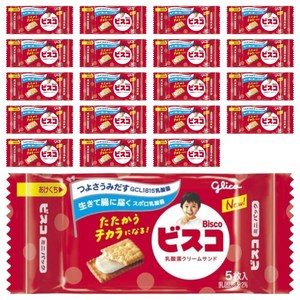 글리코 비스코 미니팩 5개입, 20개