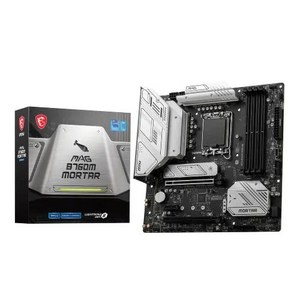 MSI MAG B760M 박격포, 단일옵션