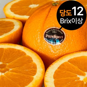 [진짜푸드] 퓨어스펙 블랙라벨 12Brix 최상급 오렌지, 1박스, S 20과(3kg)