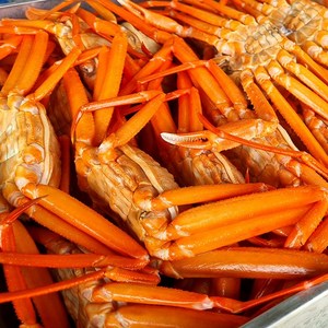 포항 구룡포 연지홍게 일반용 3kg(9-11미) 당일자숙, 1개