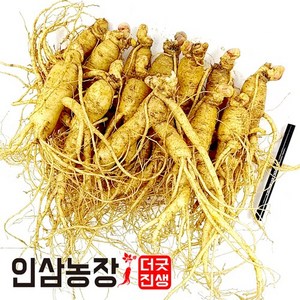 더굿진생 인삼 수삼 금산인삼 원수삼 난발삼 파삼 삼계 350g, (세척안함)알뜰형못난이난발파삼350g(7~9뿌리), 2개