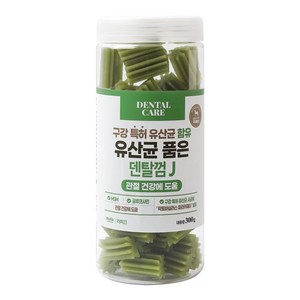 라피끄 강아지 유산균 품은 덴탈껌, 관절 건강, 300g, 1개