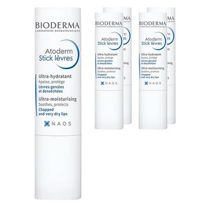 바이오더마 아토덤 립스틱, 4g, 5개