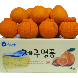 15bix 초고당도 선별 제주 한라봉, 1박스, 2kg(대과)