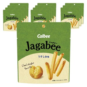 가루비 자가비 옅은 소금 맛