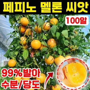 [쉬운 재배] 페피노 멜론 씨앗 우유향 황금 멜론 재배 모종 묘목 과육 인생과 건강 장수 혈당관리 과일, 100개