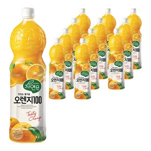 자연은 365일 오렌지 100 주스, 1.5L, 12개