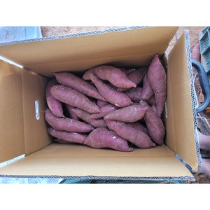 [고창영농조합직송] 고창 황토 꿀고구마 베니하루카, 1박스, 황토 꿀고구마 3kg(중상과)