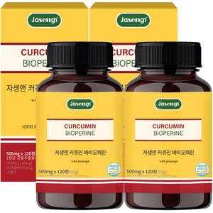 자생 커큐민 앤 바이오페린, 120정, 2개