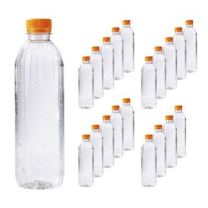 동해약천골지장수 생수, 500ml, 20개