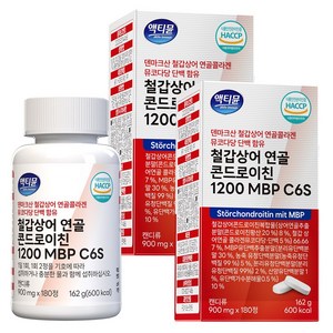 철갑상어 연골 콘드로이친 1200 MBP C6S 6형 저분자 식약청 HACCP 액티뮨, 180정, 2개