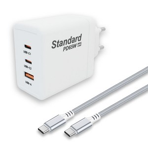 국산 신제품 INZI 65W 멀티 초고속 3포트 PPS 초고속충전3.0 100W C-to-C 케이블 포함