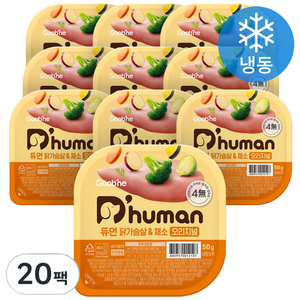 듀먼 전연령용 강아지 오리지널 화식사료, 닭+채소, 50g, 20개