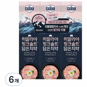 히말라야핑크솔트 담은 치약 플로럴, 100g, 6개