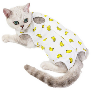 리치독스 반려동물 중성화 수술복, 바나나, M, 1개