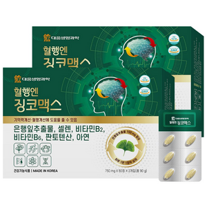 대웅생명과학 혈행엔 징코맥스, 120정, 2개