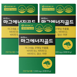 유한메디카 마그에너지골드 마그네슘 350mg 손 발 저림 혈행개선 근육통 영양제, 30정, 3개