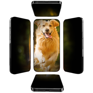 연화삼월 360도 아이폰 사방팔방 사생활보호필름 강화유리 액정보호필름 고화질 지문방지 풀커버 2매입