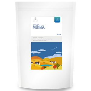 닥터루트 모링가차 삼각티백